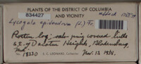 Image Associated With the Occurence